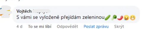 Snímek obrazovky 2025-06-22 000146